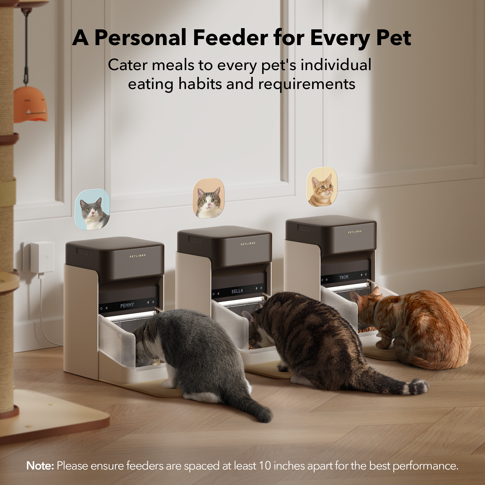 PL-AF301-PP-02.png