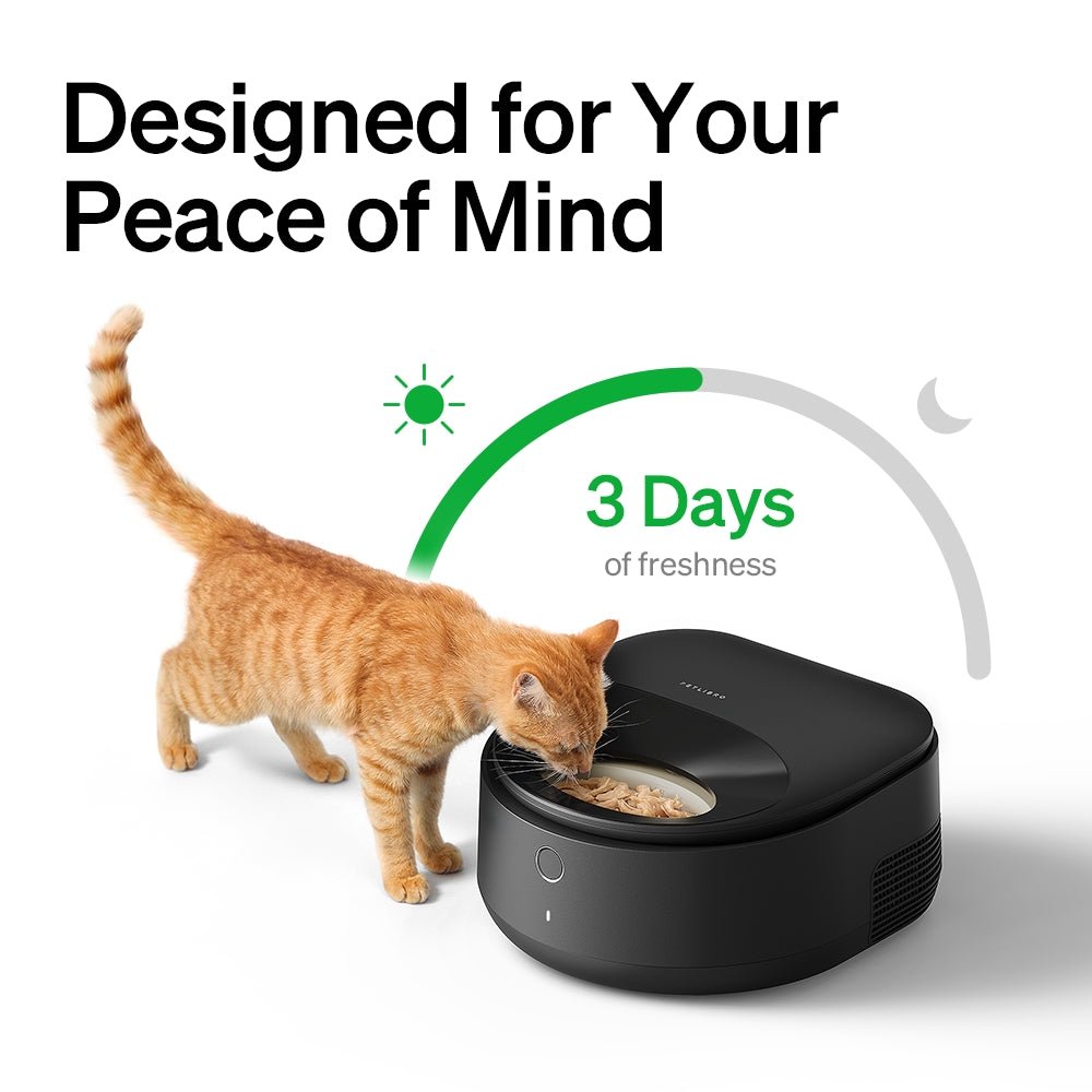 polar-wet-food-feeder-708438.jpg