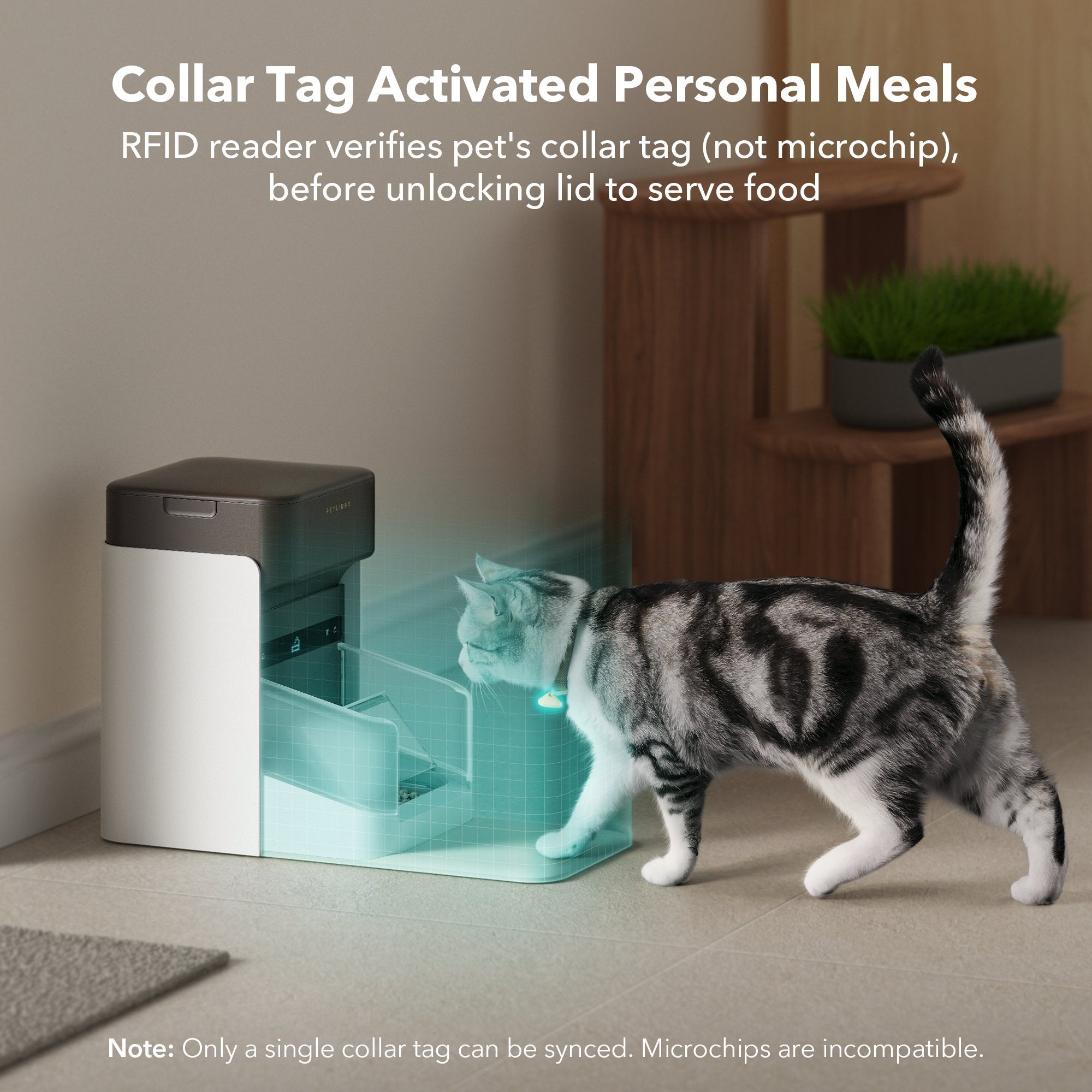 smart-rfid-dining-kit-273871.jpg